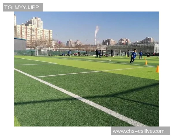 艺术足球的魅力与技巧探索：在绿茵场上舞动的美学之旅