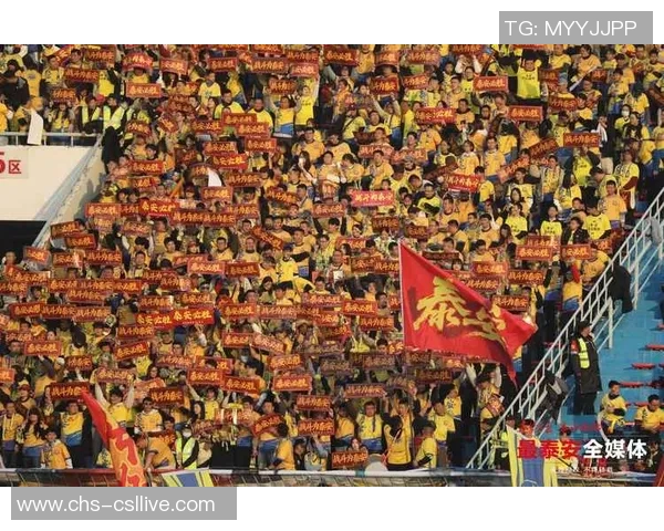 北京足球比赛热潮来袭球迷齐聚为梦想助威共赴激情盛宴